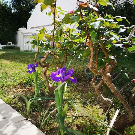 Sensations Gæstehus 4*