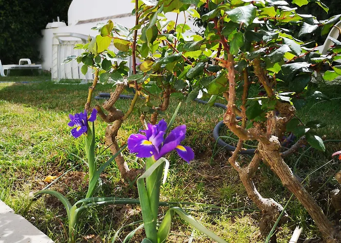 Sensations בית הארחה 4*